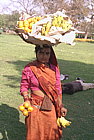 delhi-woman-bananas.png