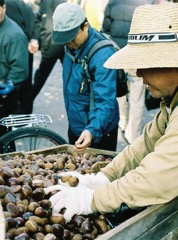 dongmyo-chestnuts