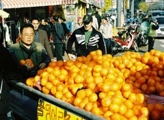 dongmyo-oranges